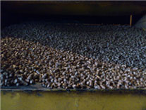 step-4-small